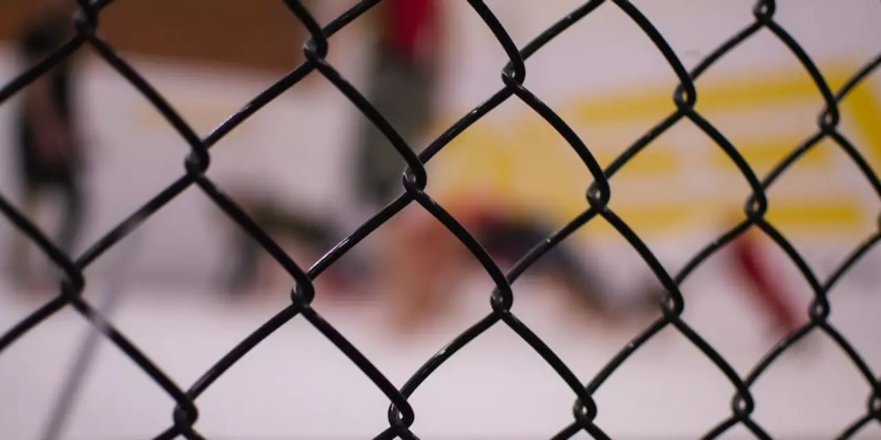 Was würde passieren, wenn ein Fan einen Eishockeyspieler kämpfen würde?